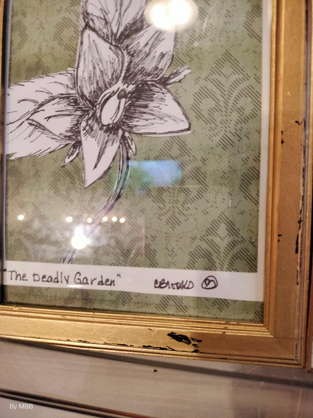 The deadly garden: Mandrake
