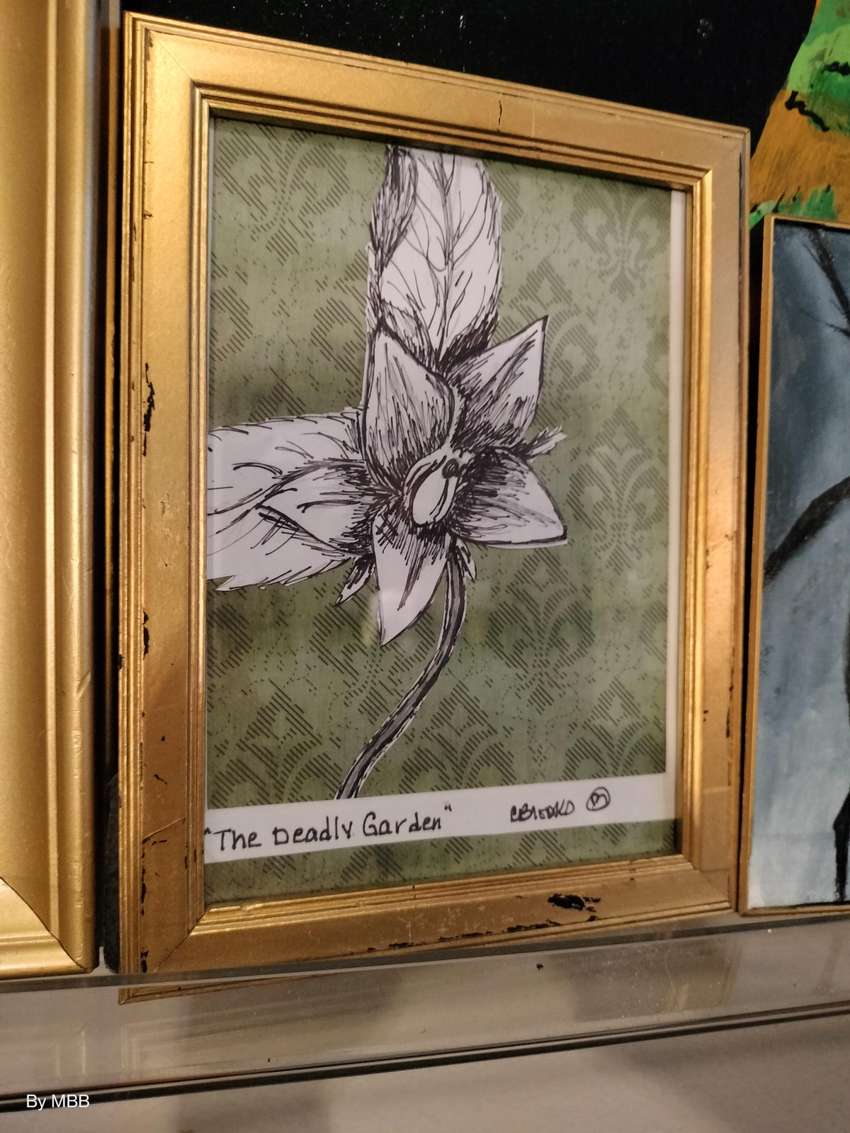 The deadly garden: Mandrake