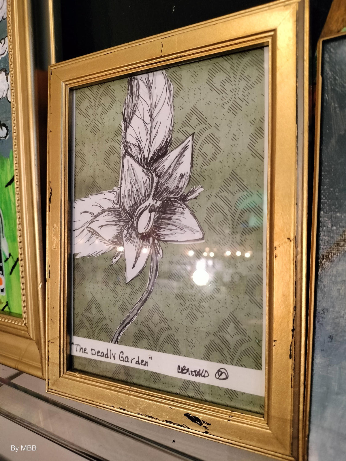 The deadly garden: Mandrake