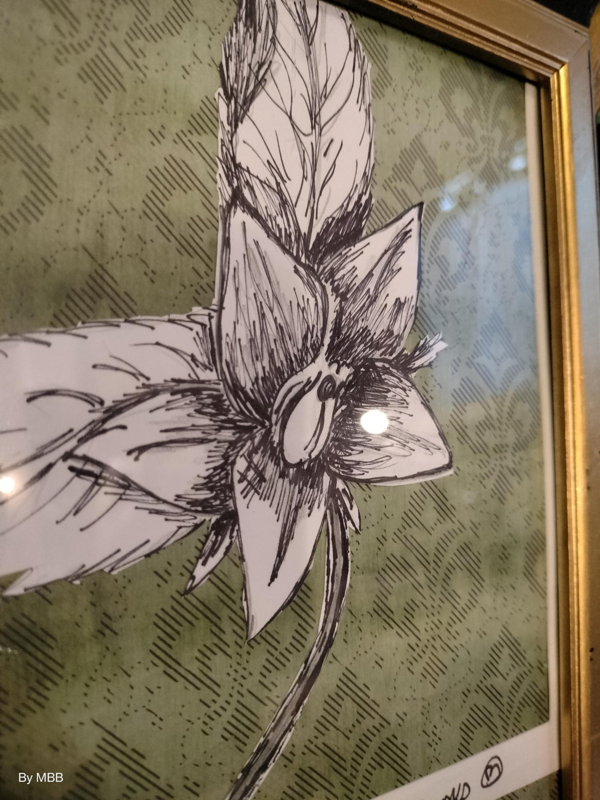 The deadly garden: Mandrake