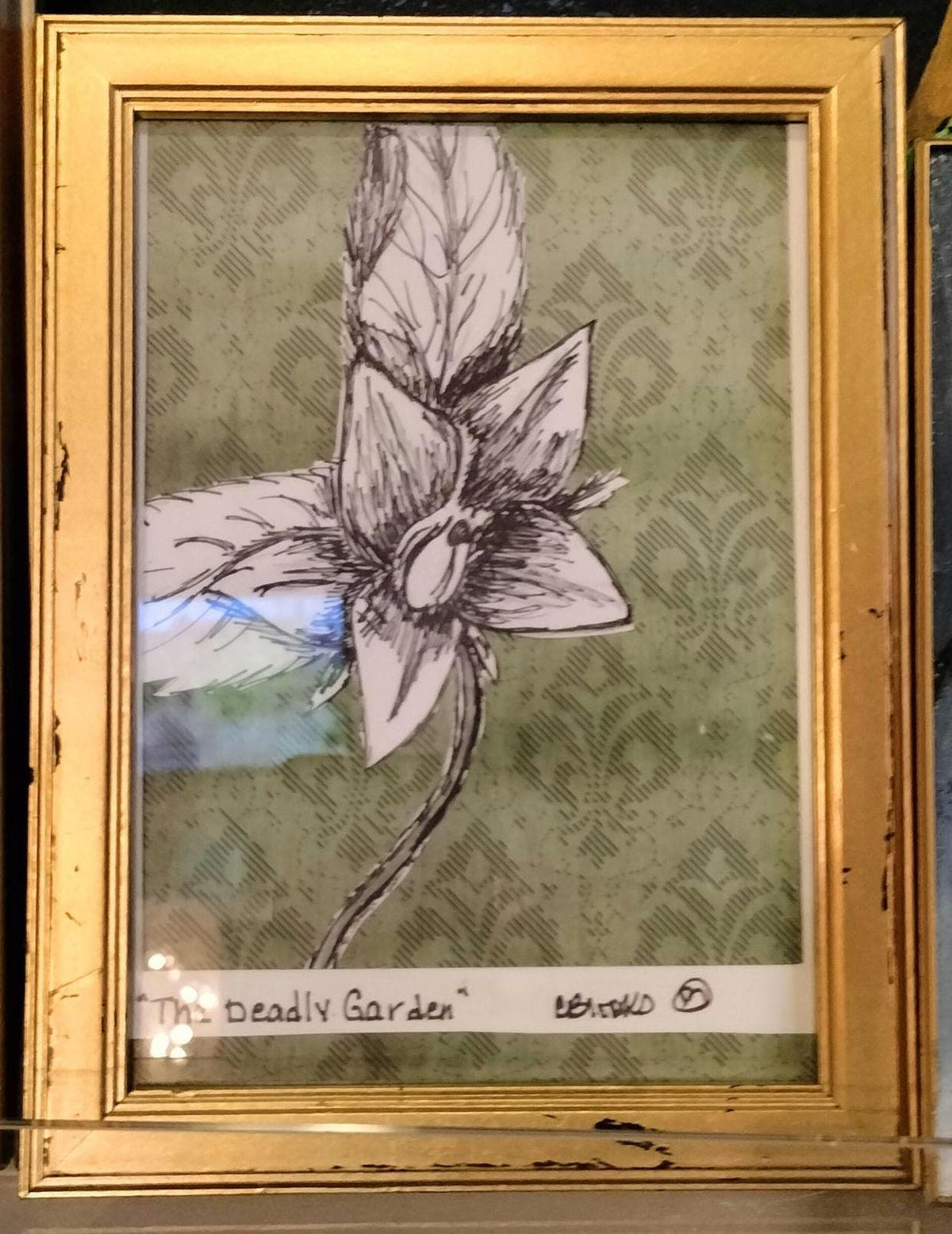 The deadly garden: Mandrake